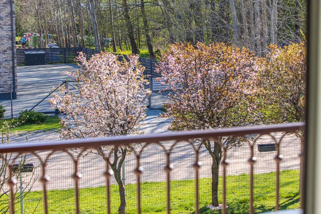 Sakura_inn Palanga
